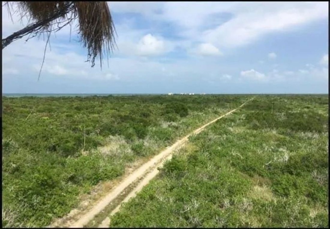 Land in Río Lagartos, Yucatan, Mexico 5 - 18056392