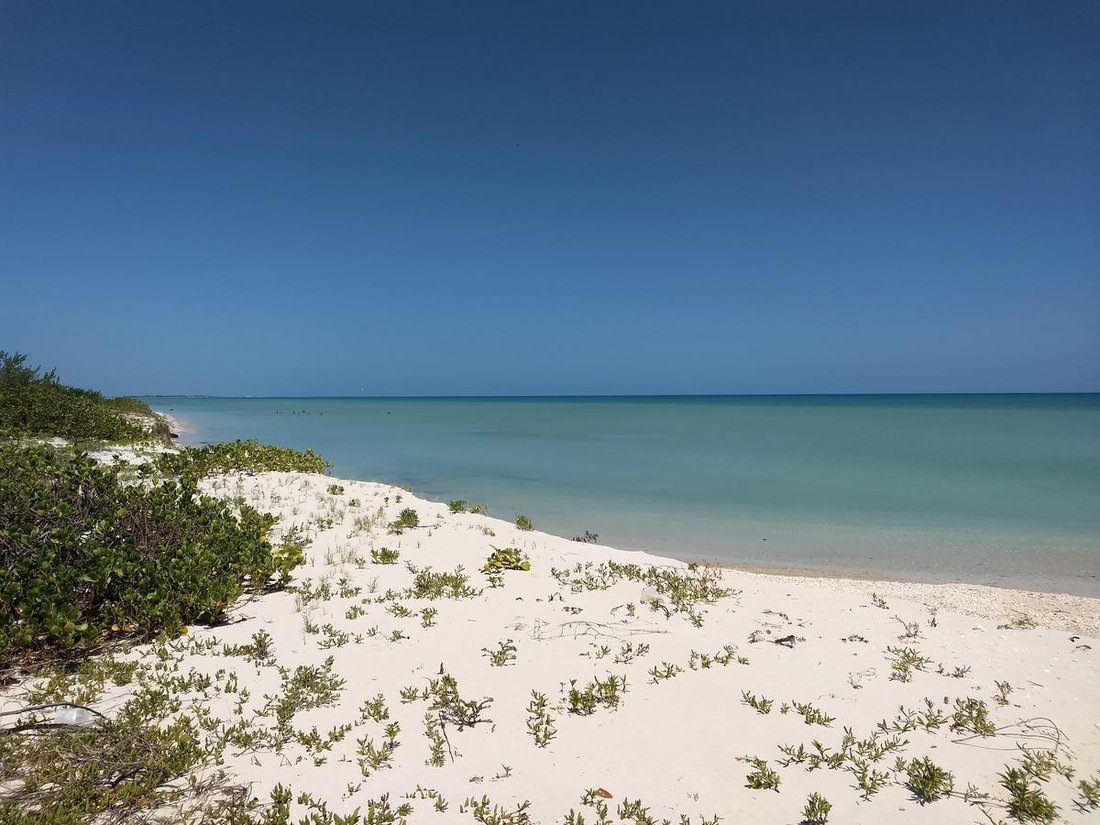 Land in Sisal, Yucatan, Mexico 5 - 18056381