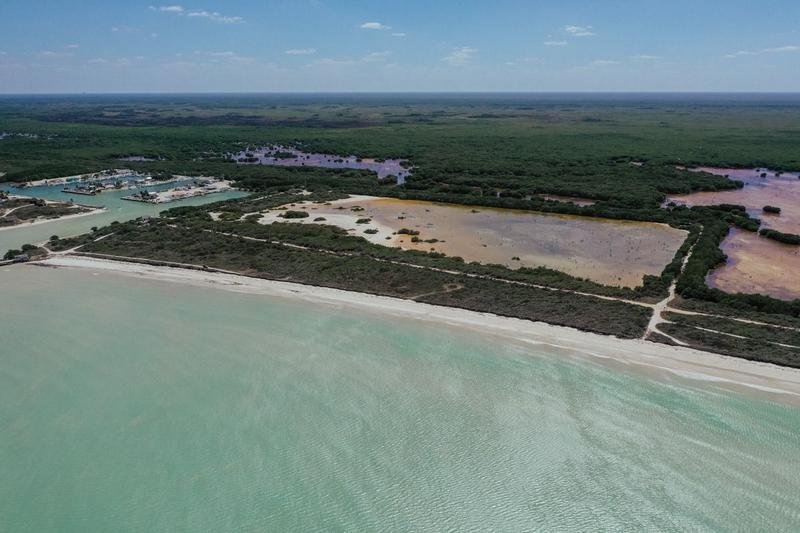 Land in Sisal, Yucatan, Mexico 5 - 18056354