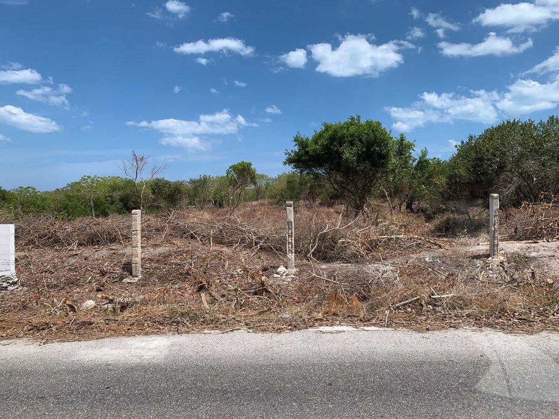 Land in Dzilam de Bravo Municipality, Yucatan, Mexico 3 - 18056384