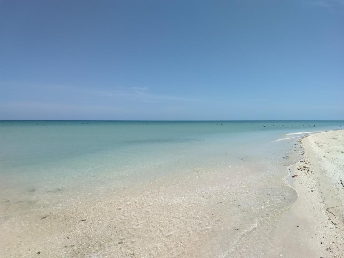Terrain à Sisal, Yucatán, Mexique 1 - 18056383