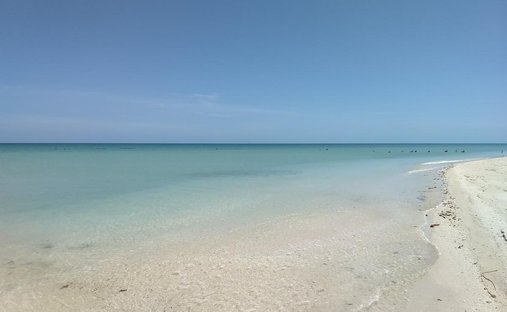 Land in Sisal, Yucatan, Mexico 1