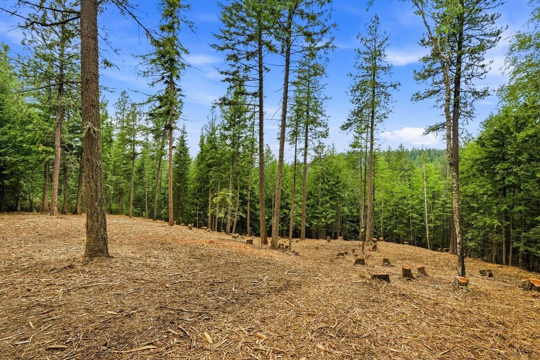 Land in Sandpoint, Idaho, United States 4 - 17346453