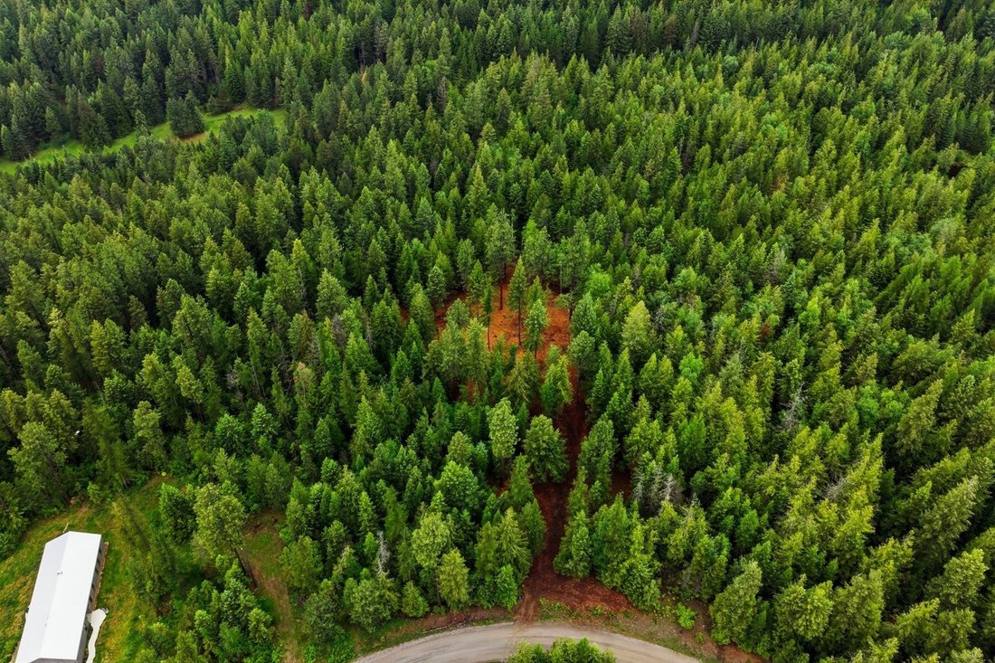 Land in Sandpoint, Idaho, United States 1 - 17346453