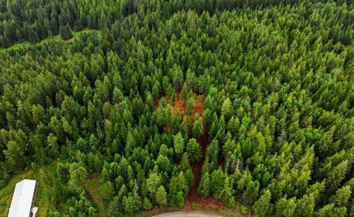 Terrain à Sandpoint, Idaho, États-Unis 1