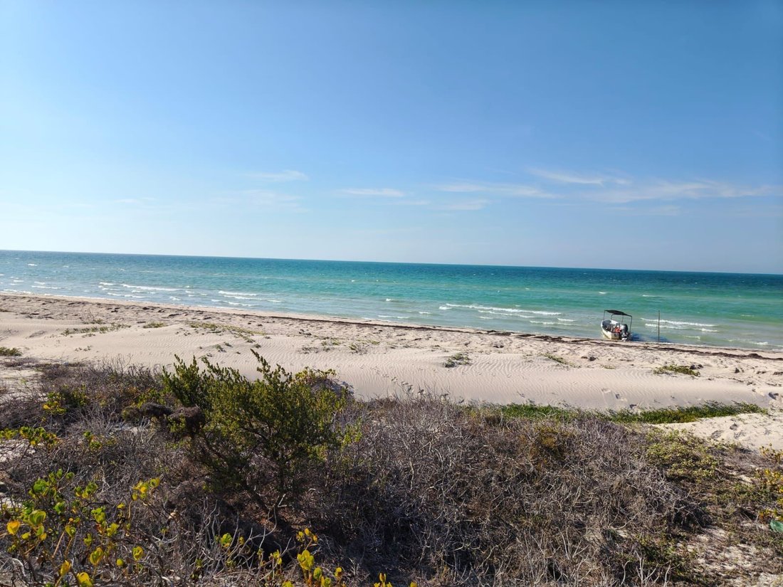 Land in Río Lagartos, Yucatan, Mexico 1 - 18056392