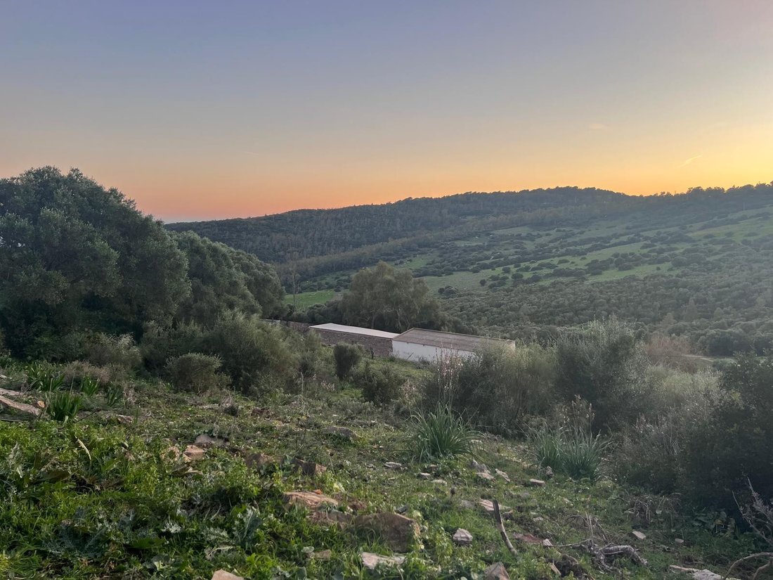 Land in Tarifa, Andalusia, Spain 3 - 18054756