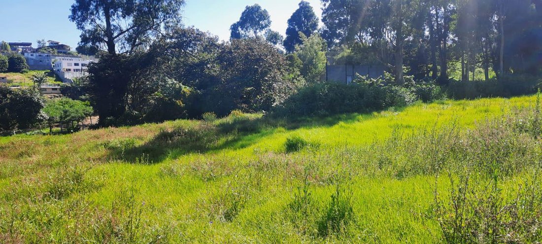 Land in Quito, Pichincha, Ecuador 5 - 18056339