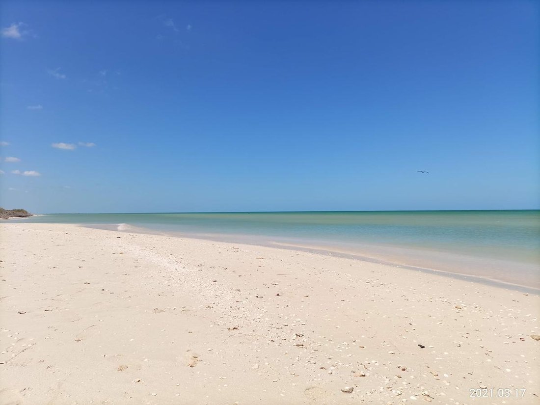 Land in Sisal, Yucatan, Mexico 4 - 18056381
