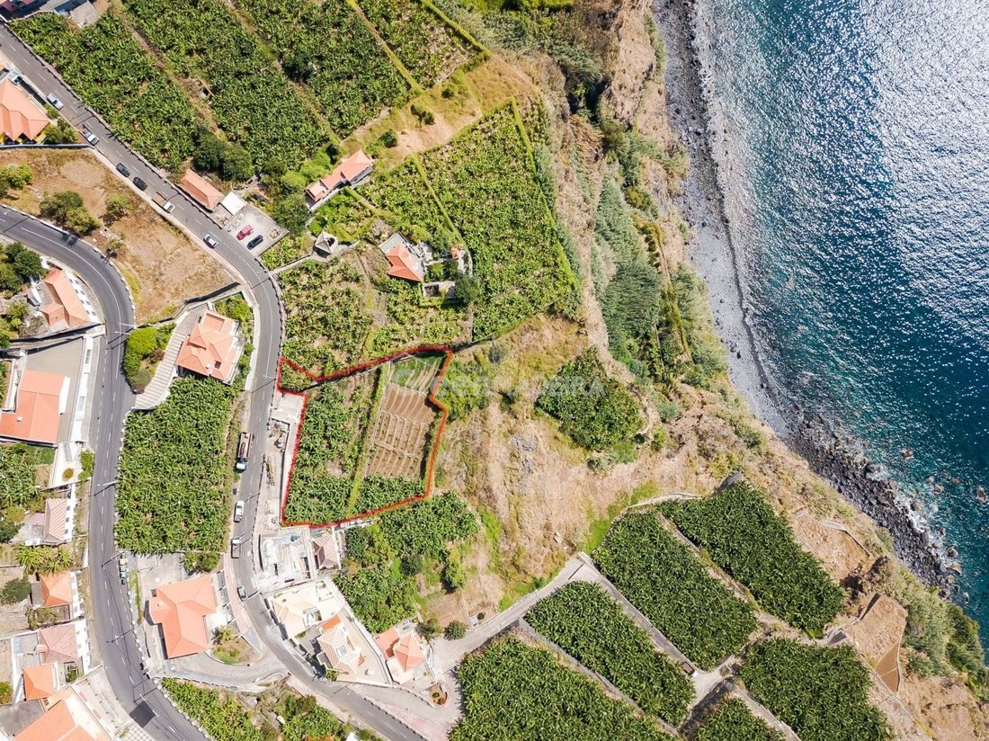 Land in Ribeira Brava, Madeira, Portugal 4 - 16881080