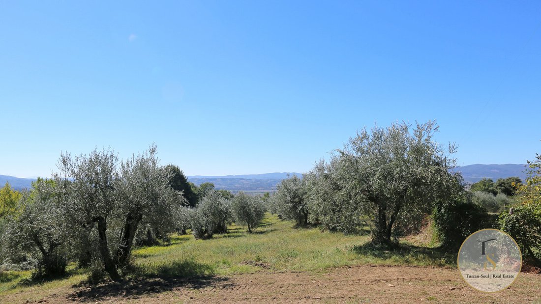 Country House in Historic Center, Perugia, Italy 5 - 18055656
