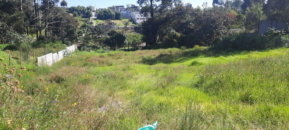 Land in Quito, Pichincha, Ecuador 2 - 18056339