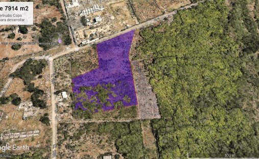 Terrain à Mérida, Yucatán, Mexique 1