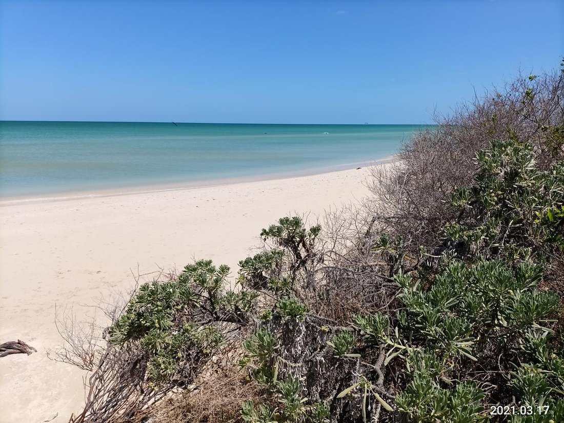 Land in Sisal, Yucatan, Mexico 3 - 18056381