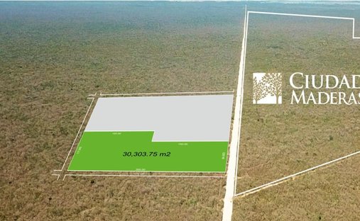 Land in Sierra Papacal, Yucatan, Mexico 1