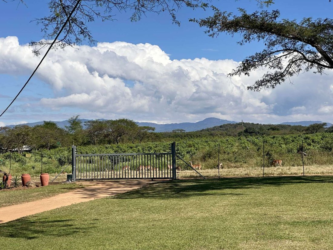 Farm Ranch in Barberton, Mpumalanga, Südafrika 3 - 18056031