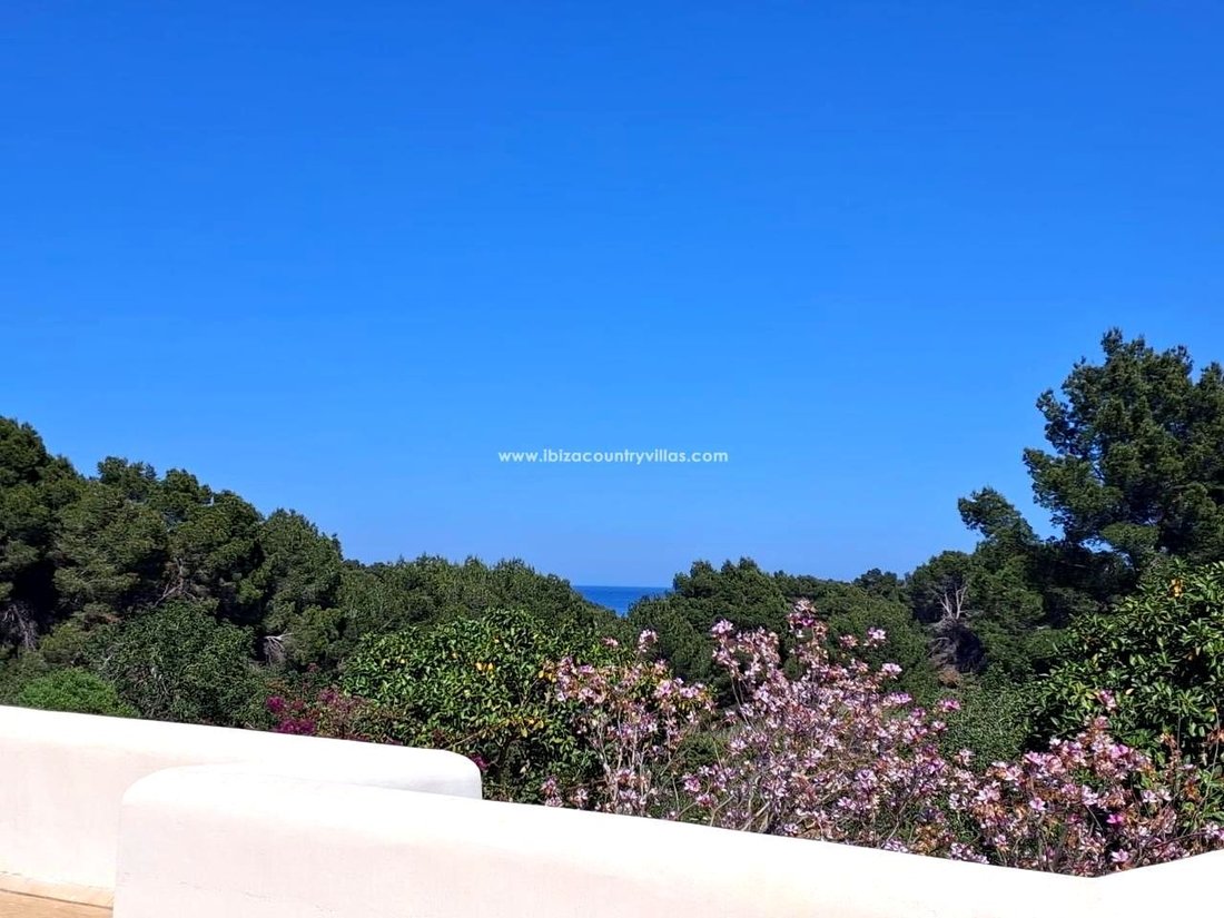 Villa in Sant Carles de Peralta, Santa Eularia des Riu, Balearic Islands 5 - 16958056