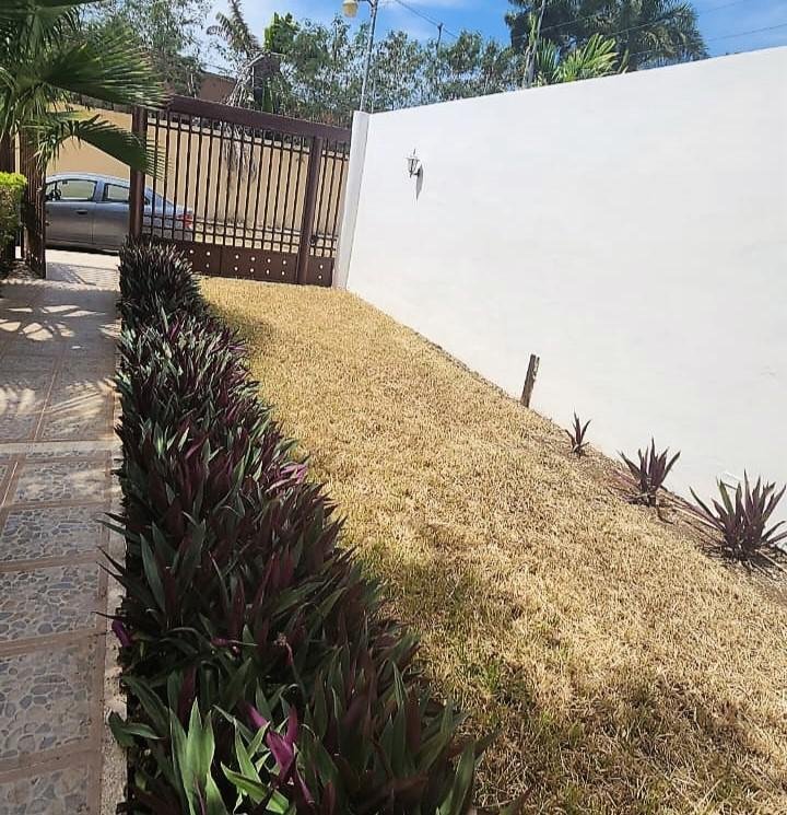 House in Mérida, Yucatan, Mexico 5 - 18056389