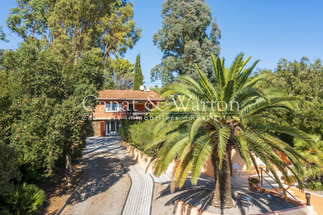 Villa in La Croix-Valmer, Provence-Alpes-Côte d'Azur, France 2 - 15998739