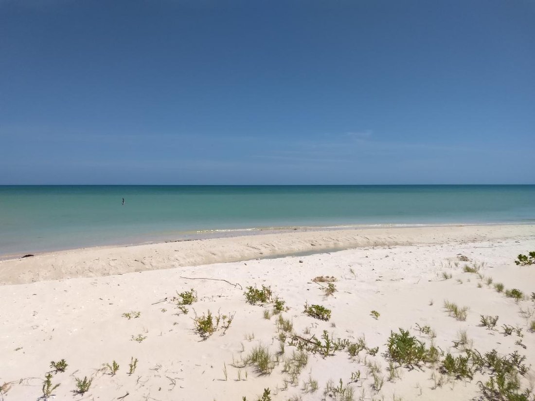Terrain à Sisal, Yucatán, Mexique 3 - 18056383