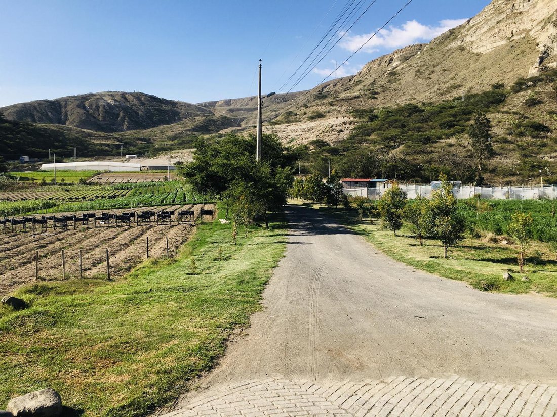 Land in Quito, Pichincha, Ecuador 2 - 18056303