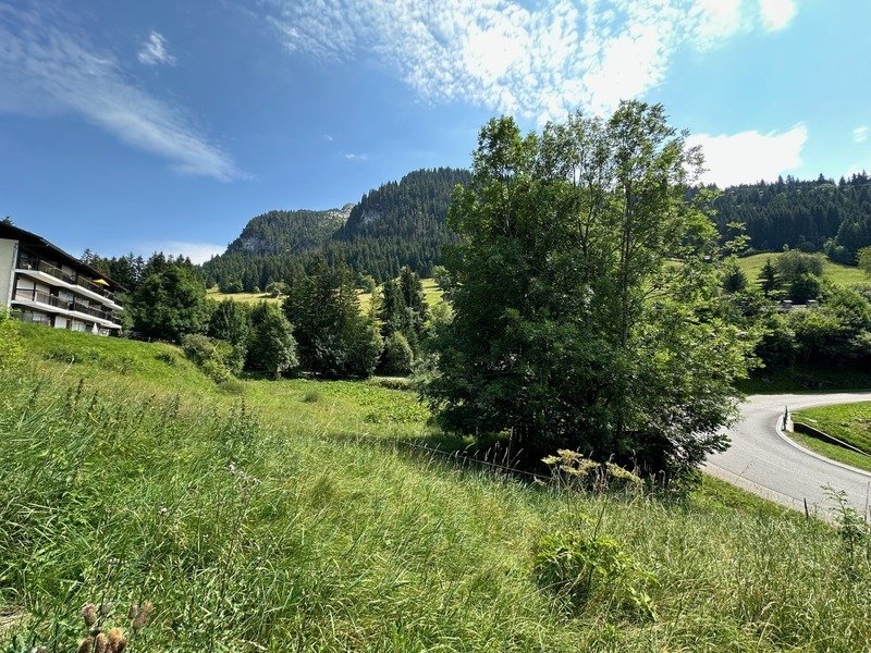 Chalet in La Clusaz, Auvergne-Rhône-Alpes, France 3 - 16120696