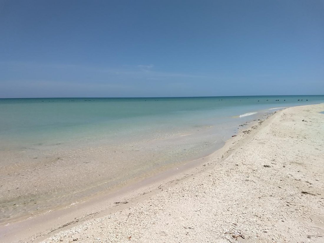 Terrain à Sisal, Yucatán, Mexique 2 - 18056383