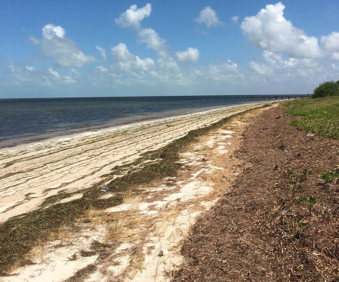 Land in Dzilam de Bravo Municipality, Yucatan, Mexico 1 - 18056384
