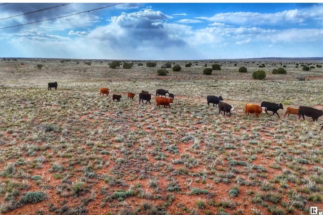 Land in Heber-Overgaard, Arizona, United States 1 - 18053932