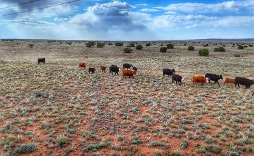 Land in Heber-Overgaard, Arizona, United States 1