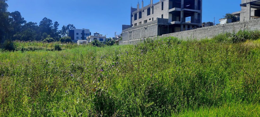 Land in Quito, Pichincha, Ecuador 1 - 18056339