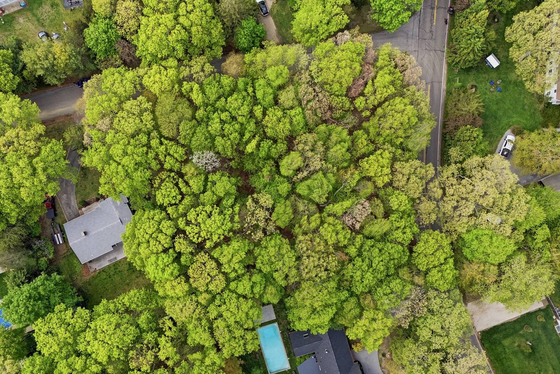 Land in Springs, New York, United States 2 - 18057135