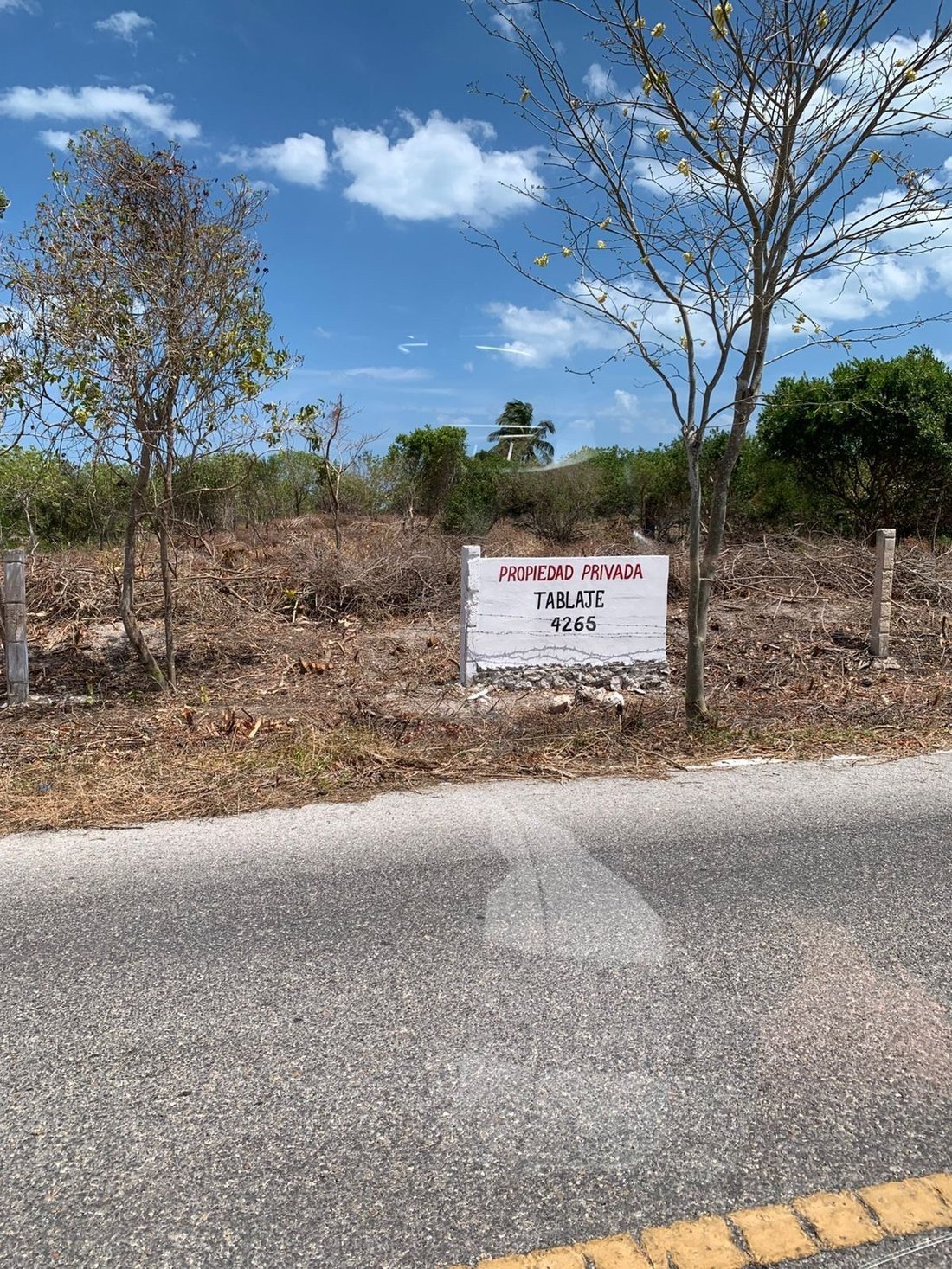 Land in Dzilam de Bravo Municipality, Yucatan, Mexico 2 - 18056384