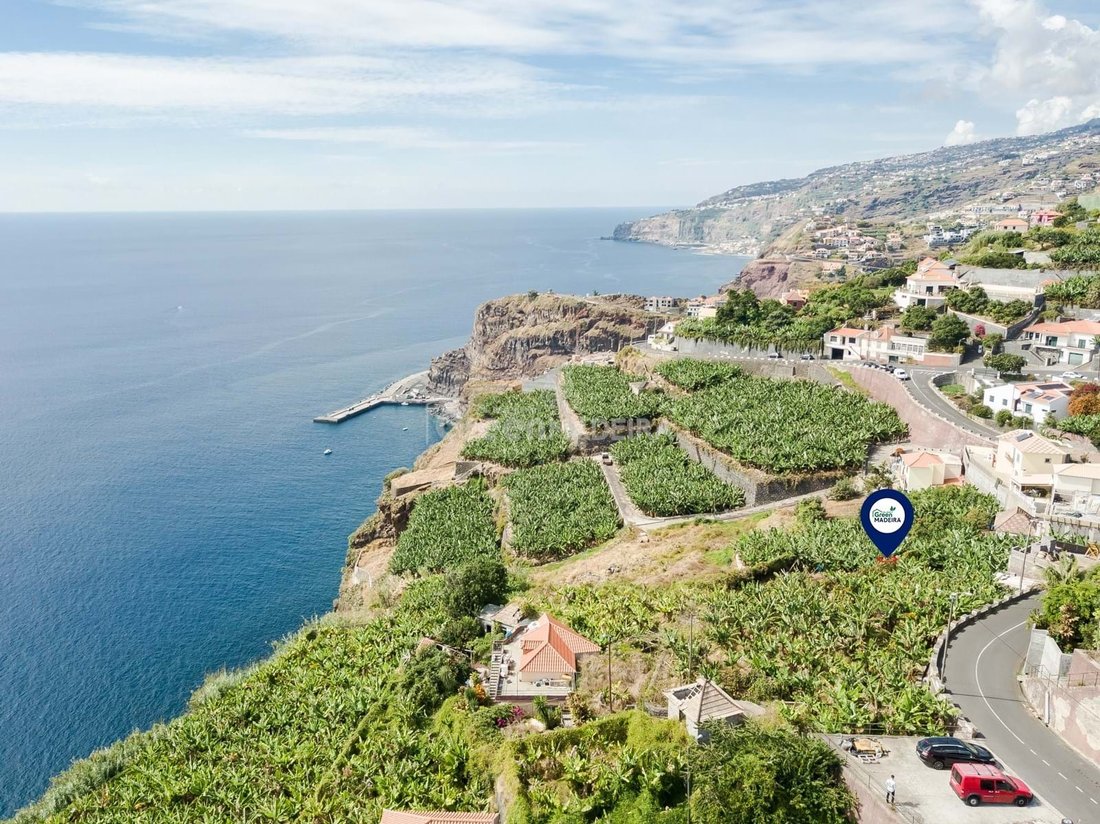 Land in Ribeira Brava, Madeira, Portugal 5 - 16881080