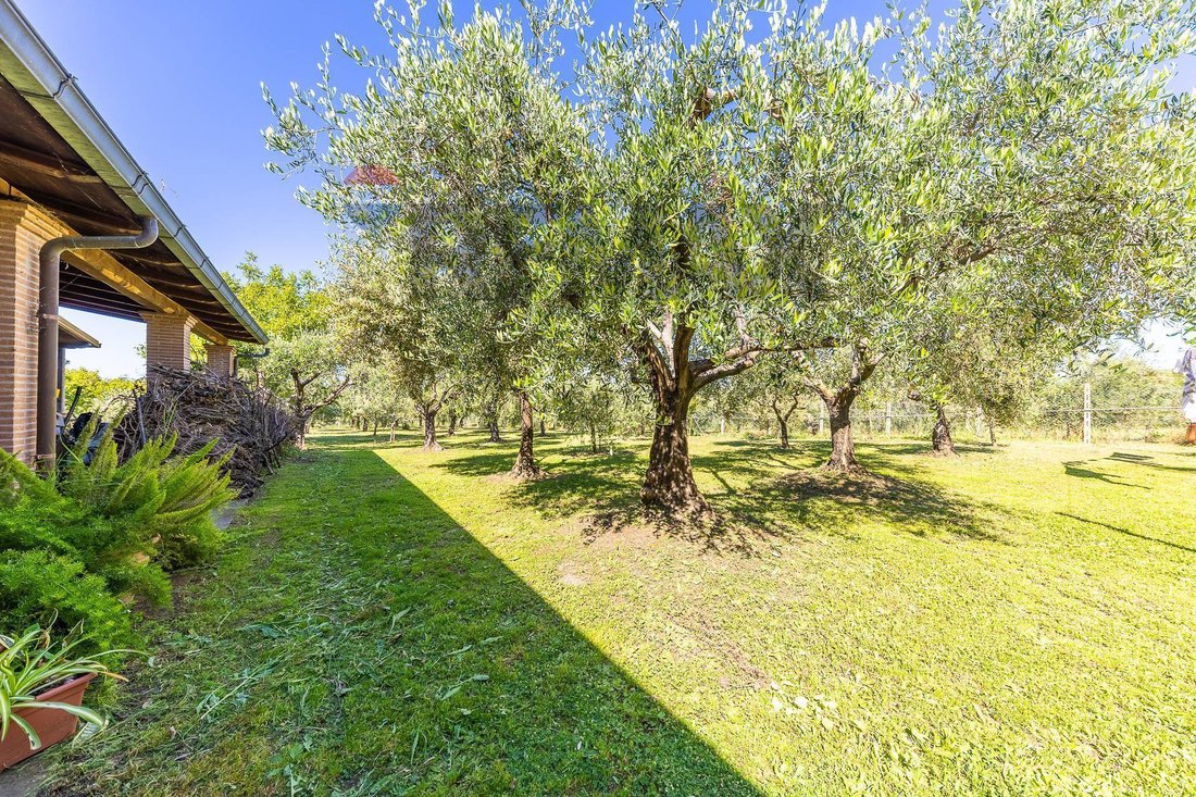 Villa à Castagnole-Spinabella-Montecrescenzio, Marino, Latium 3 - 18021692