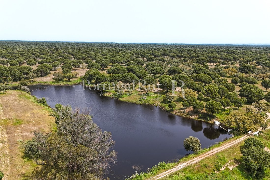 Domaine à Azinheira dos Barros e Sao Mamede do Sadao, Setúbal Municipality, Portugal 4 - 18059015