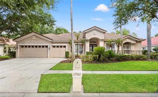 House in Tampa, Florida, United States 1