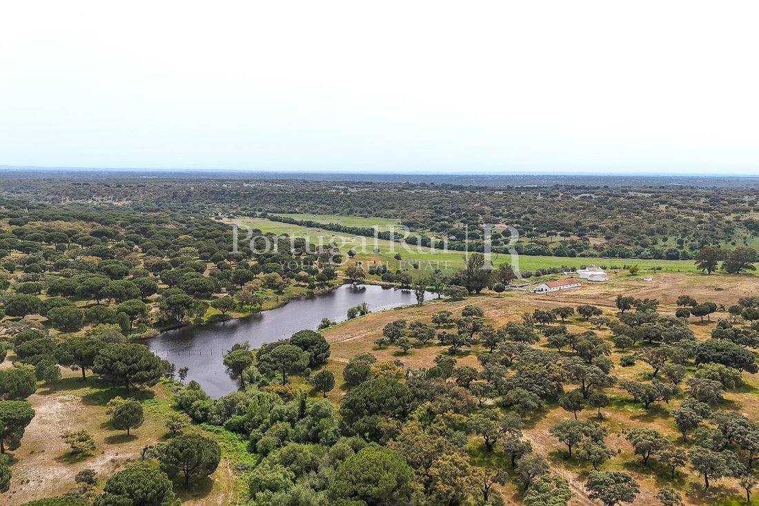 Domaine à Azinheira dos Barros e Sao Mamede do Sadao, Setúbal Municipality, Portugal 1 - 18059015