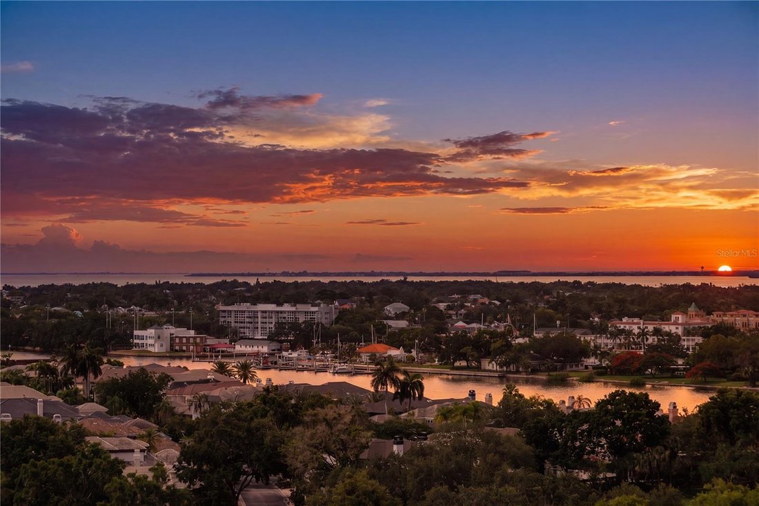 Condo in Tampa, Florida, United States 3 - 18056689