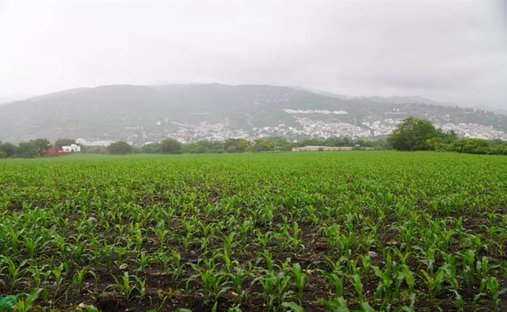 Land in Chilpancingo, Guerrero, Mexico 1