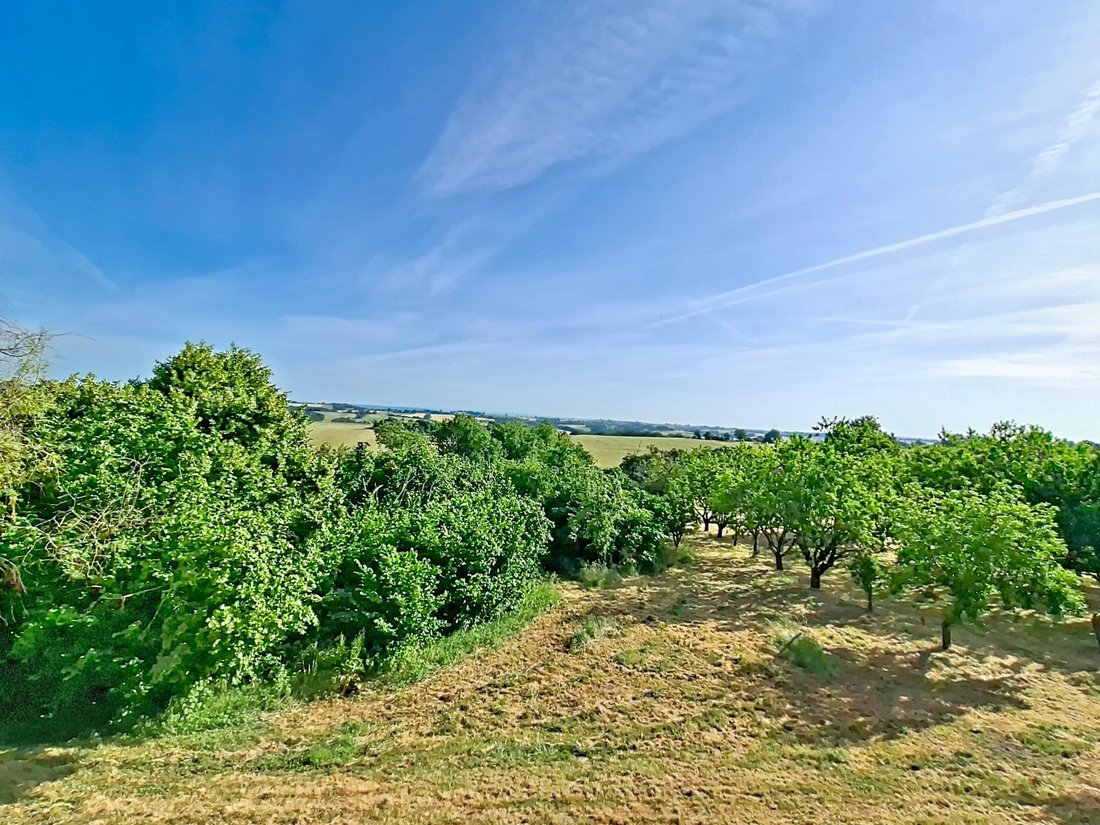 Casa en Bonrepos-Riquet, Occitania, Francia 2 - 18059944
