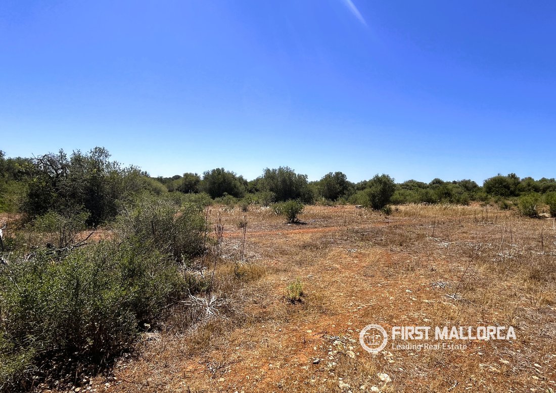 Terreno a Campos, Isole Baleari, Spagna 3 - 18058951