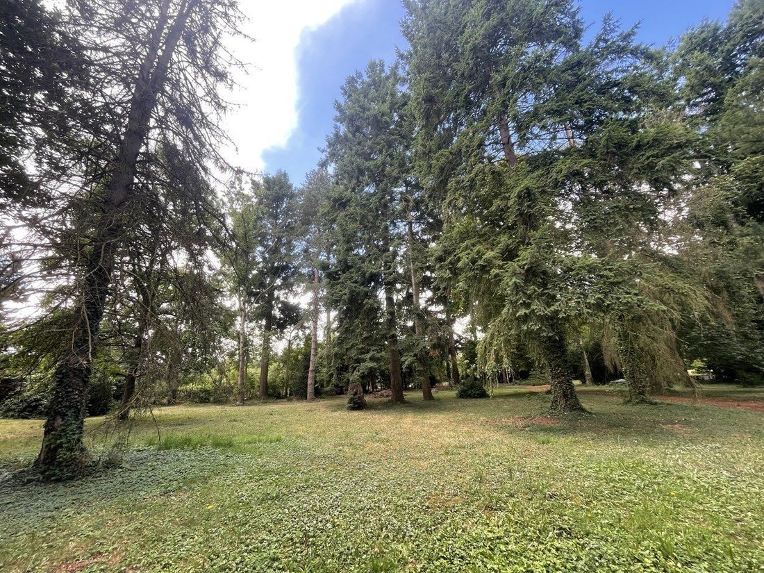 Apartment in Sud, Obernai, France 4 - 18059863