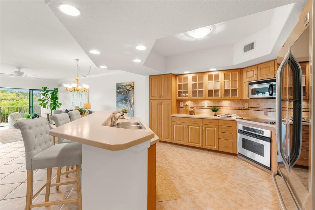 Condo in St. Petersburg, Florida, United States 3 - 18056666