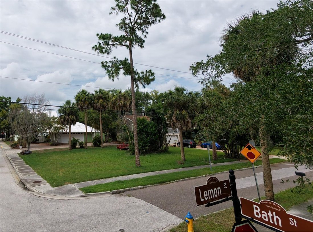 House in Tarpon Springs, Florida, United States 3 - 18056759