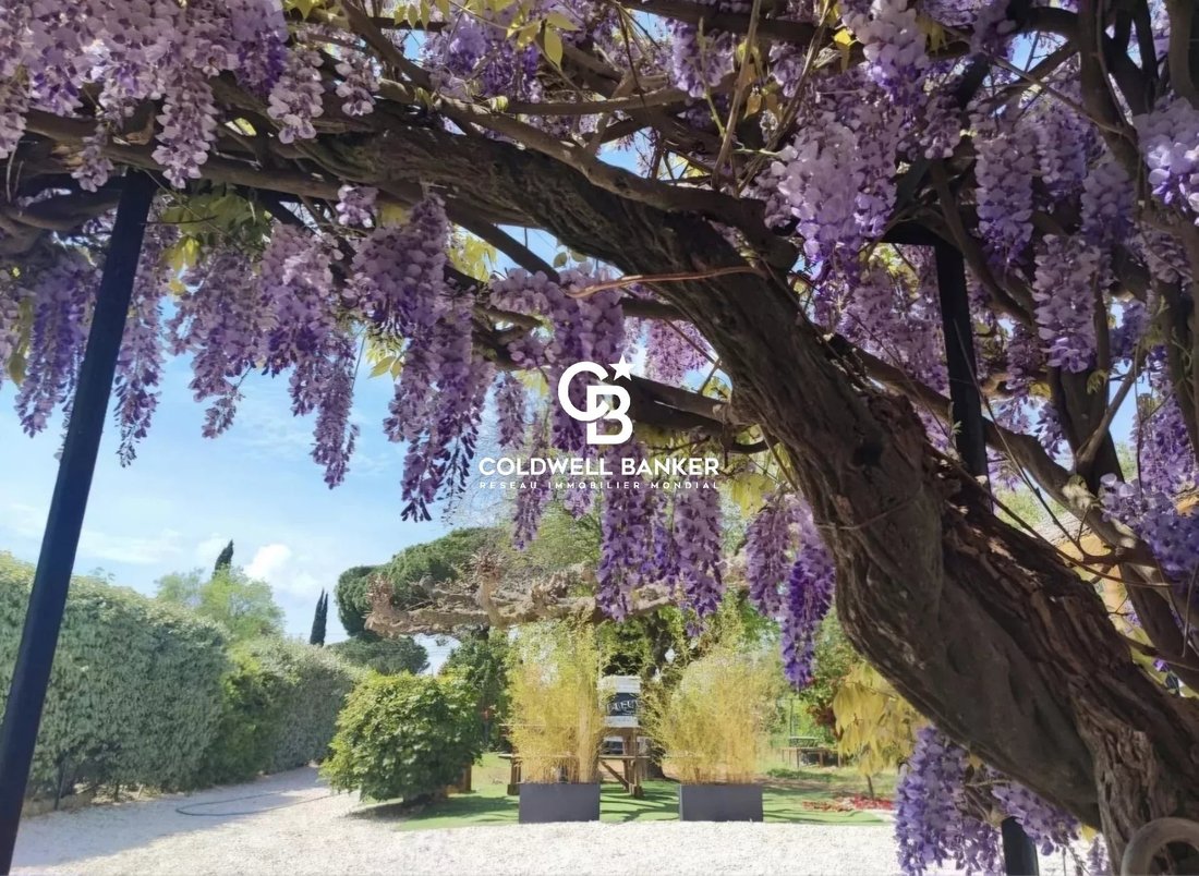 Villa in Sud Ouest, Bormes-les-Mimosas, France 1 - 18055652