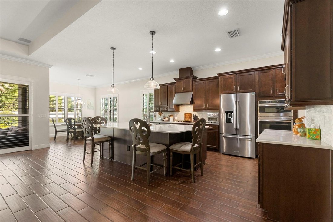 House in Tampa, Florida, United States 5 - 18056681