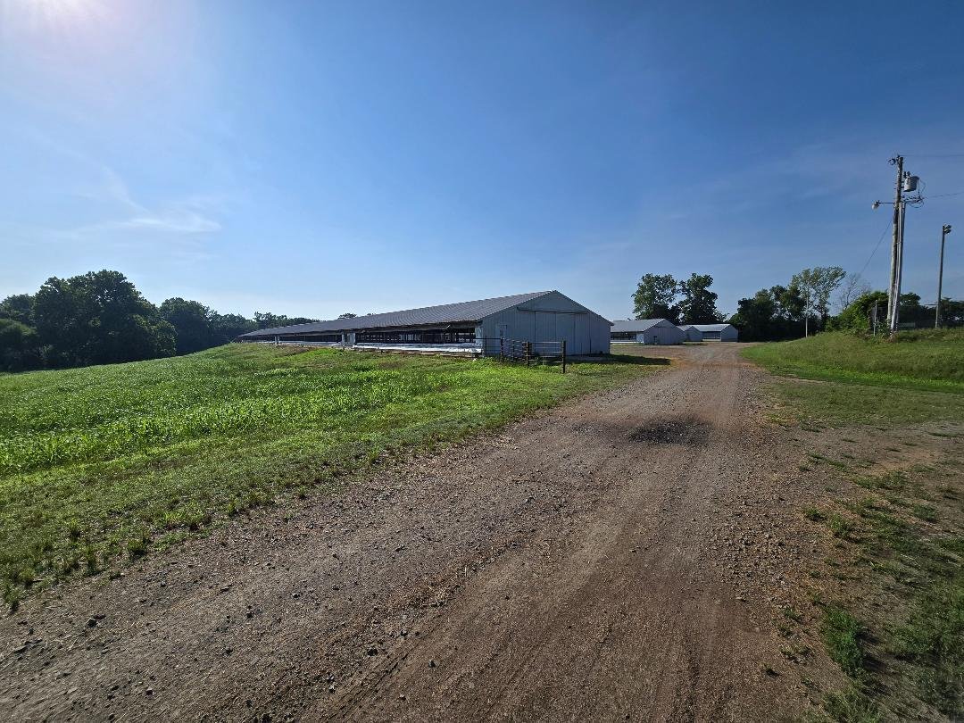 Farm Ranch in Lamar, Arkansas, United States 3 - 18055920
