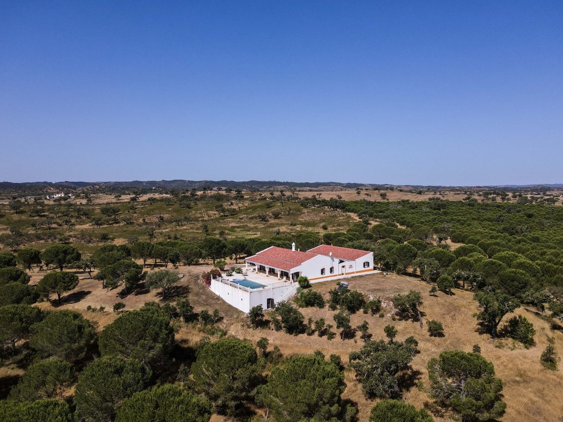 Finca in Ourique, Beja District, Portugal 1 - 18059020