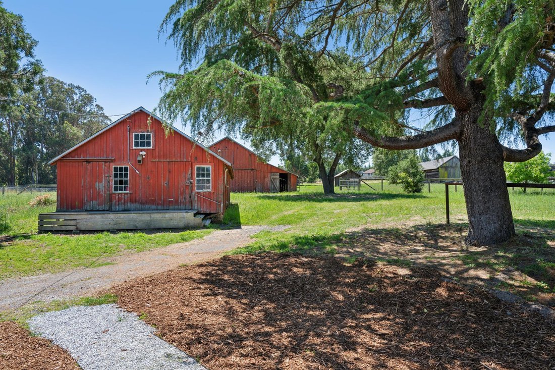 House in Petaluma, California, United States 3 - 18055258